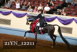 21YN_12211 proof
