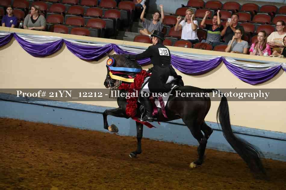 Proof 21YN_12212