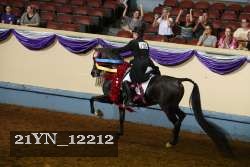 21YN_12212 proof