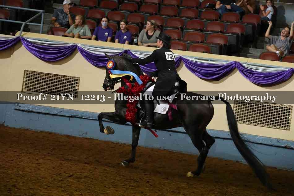 Proof 21YN_12213