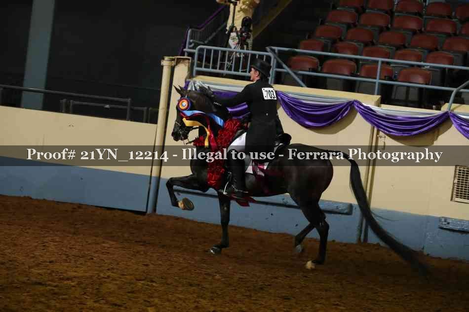 Proof 21YN_12214