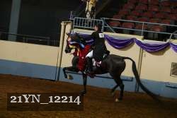 21YN_12214 proof