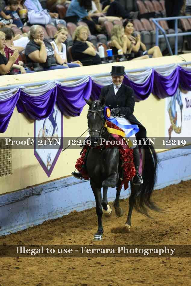 Proof 21YN_12219