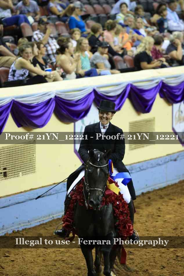 Proof 21YN_12221