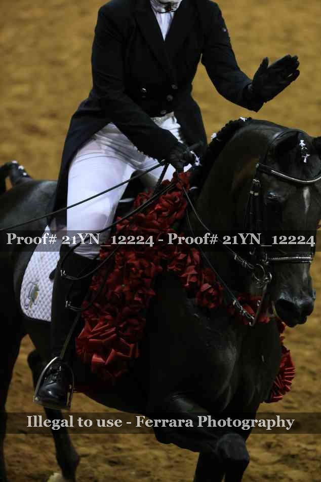 Proof 21YN_12224