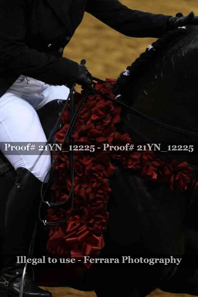Proof 21YN_12225