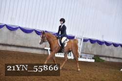 21YN_55866 proof