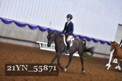 21YN_55871 proof