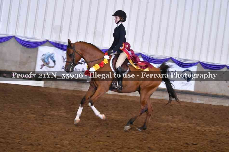 Proof 21YN_55936