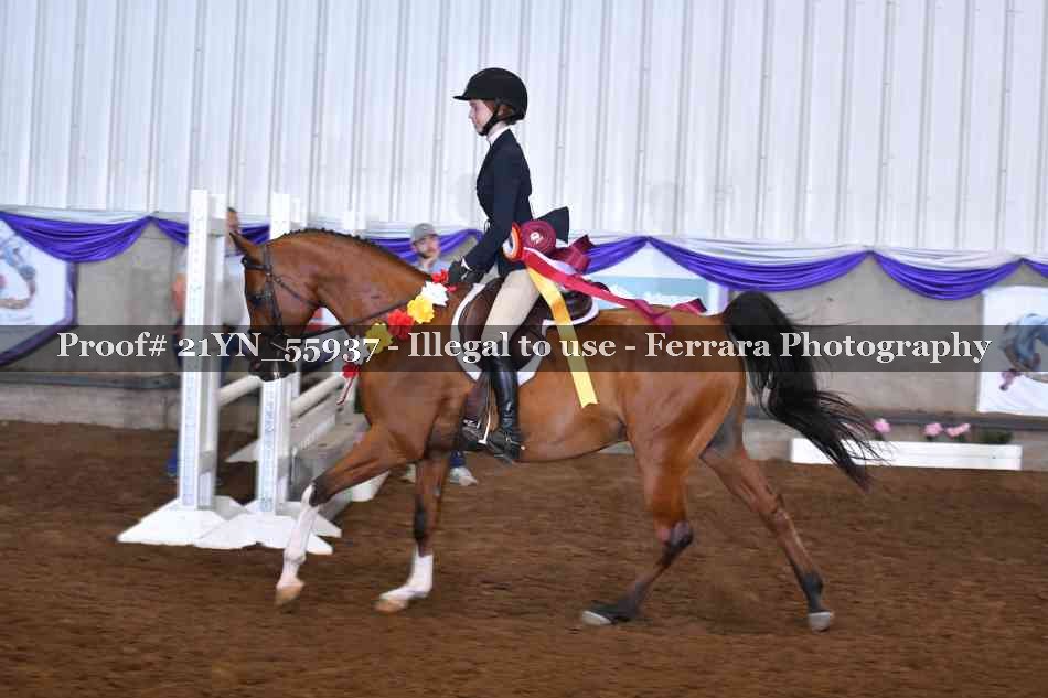 Proof 21YN_55937