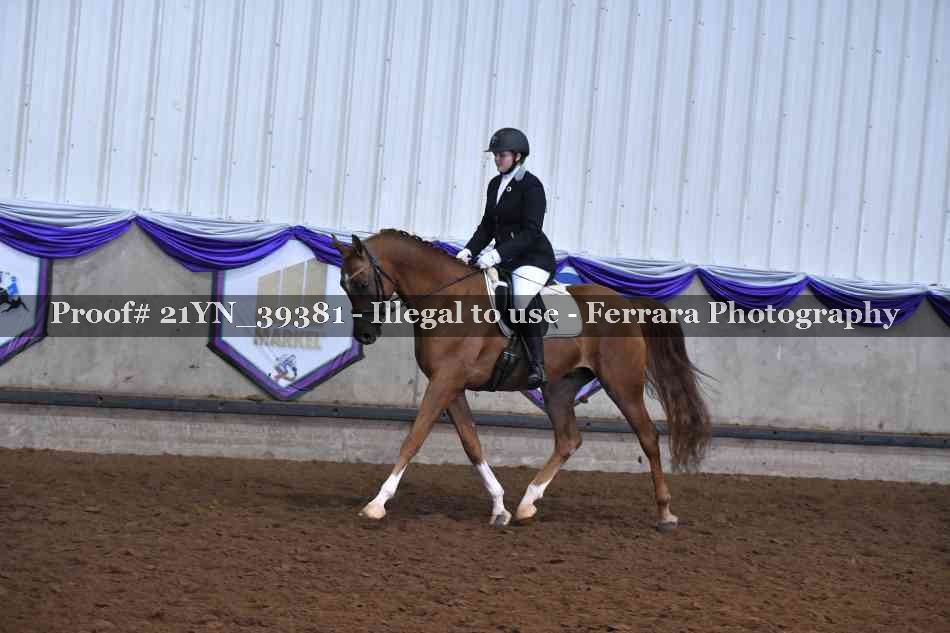 Proof 21YN_39381