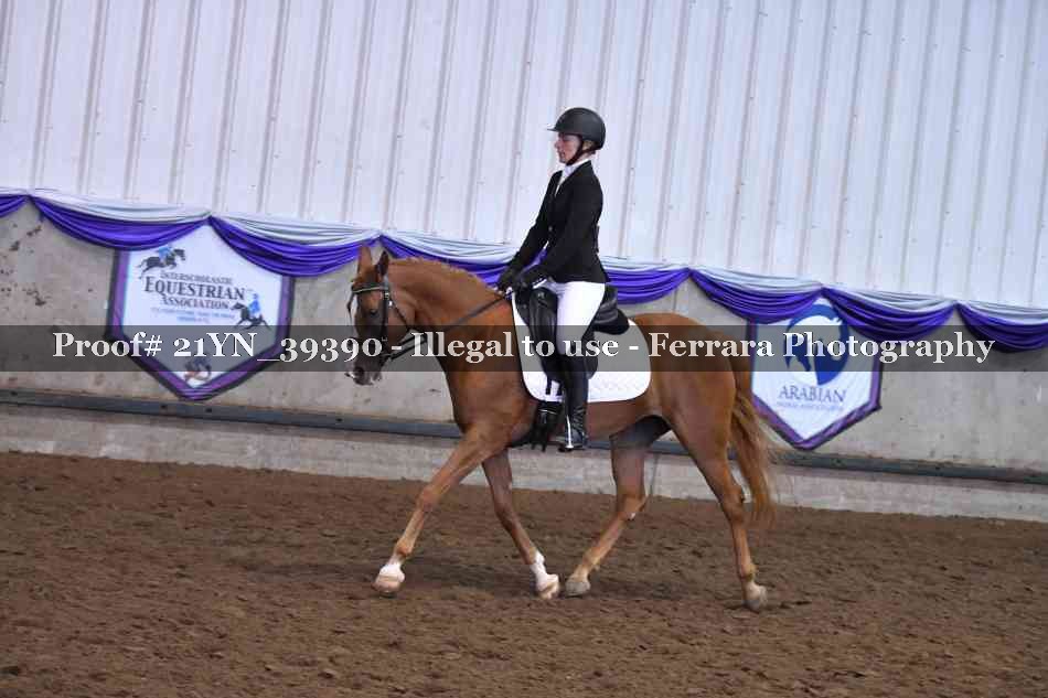 Proof 21YN_39390