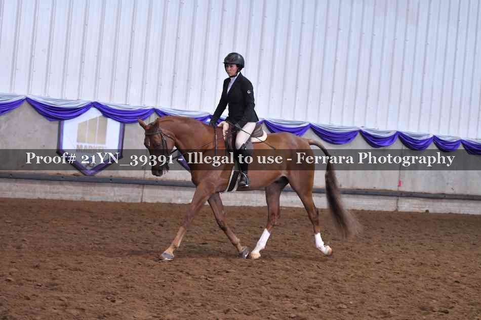 Proof 21YN_39391