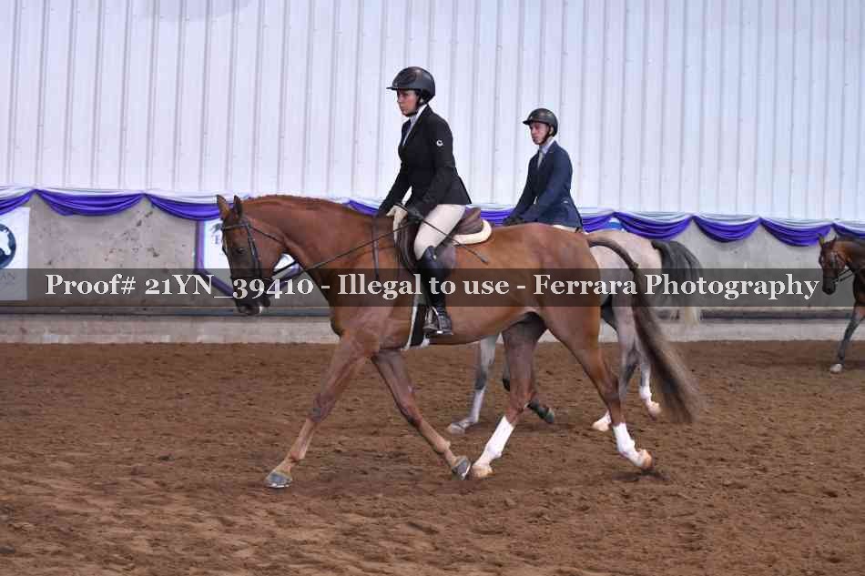 Proof 21YN_39410