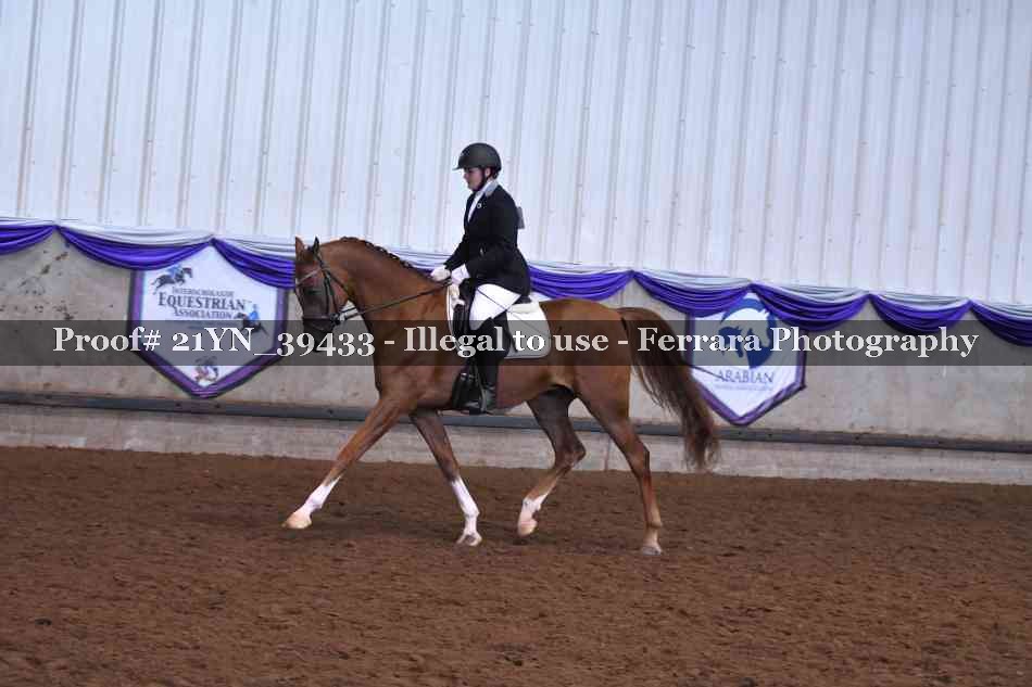 Proof 21YN_39433