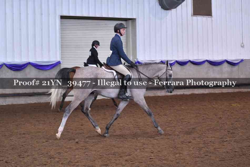 Proof 21YN_39477