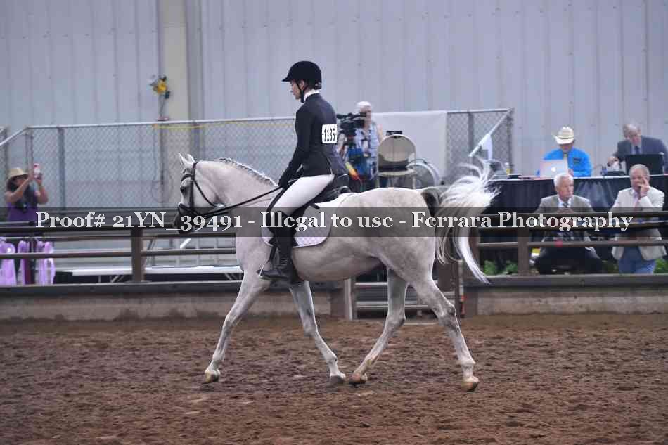 Proof 21YN_39491