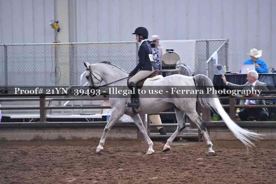 Proof 21YN_39493