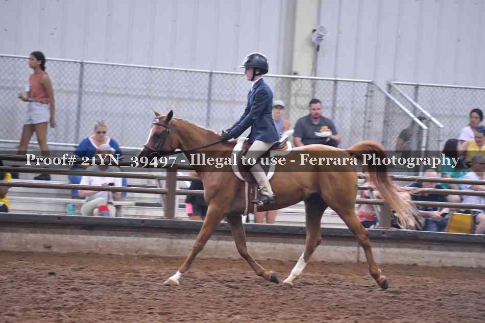Proof 21YN_39497