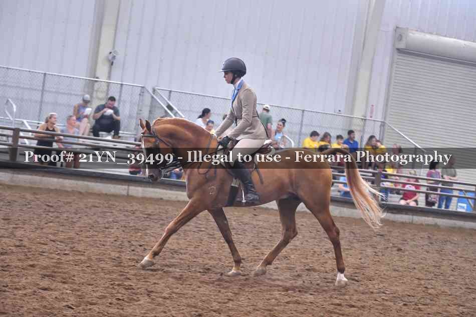 Proof 21YN_39499