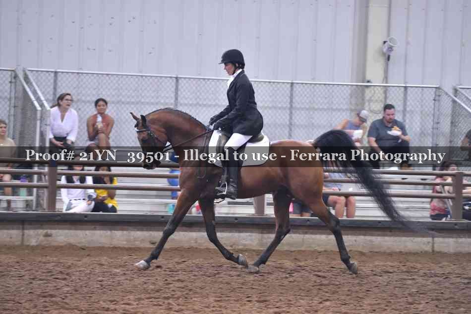 Proof 21YN_39501