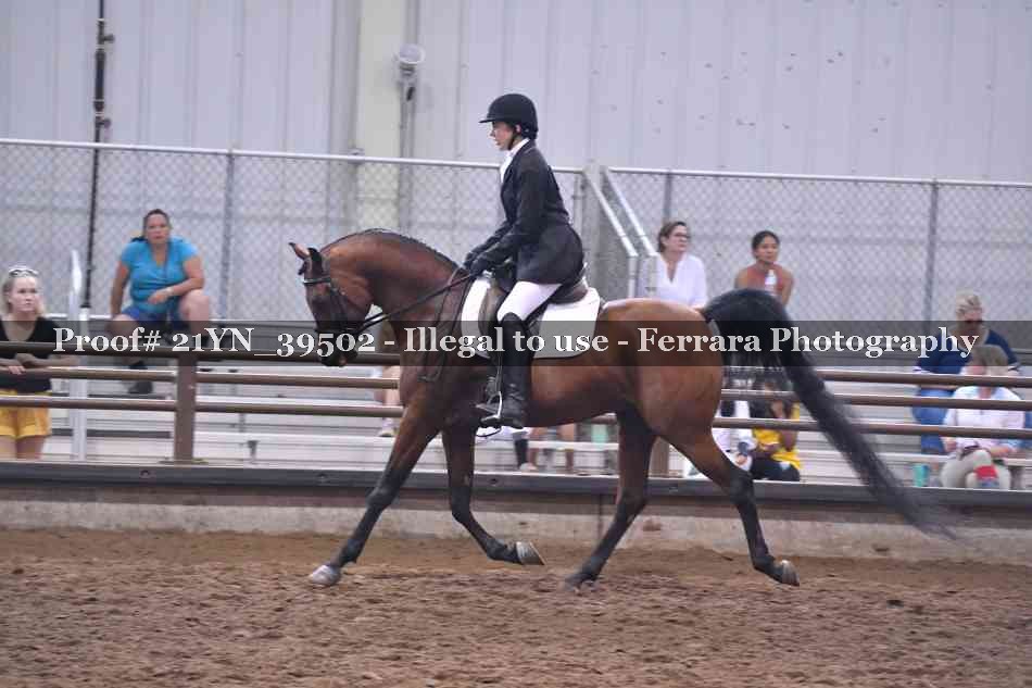 Proof 21YN_39502