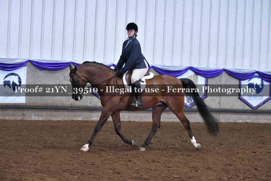 Proof 21YN_39510