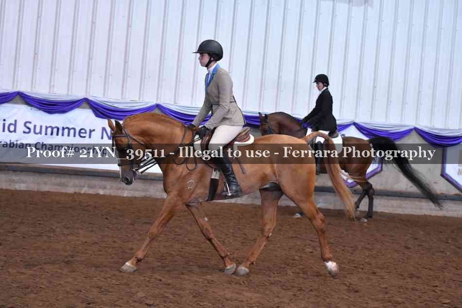 Proof 21YN_39511