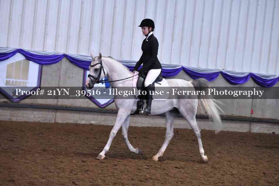 Proof 21YN_39516