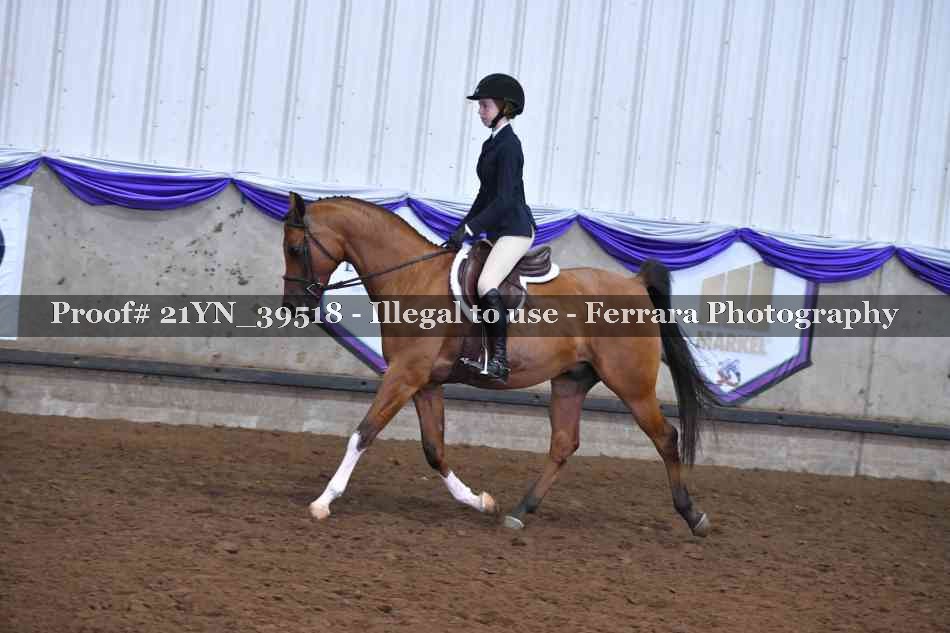 Proof 21YN_39518