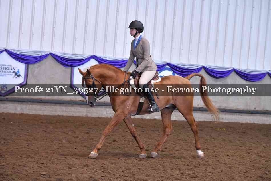 Proof 21YN_39527