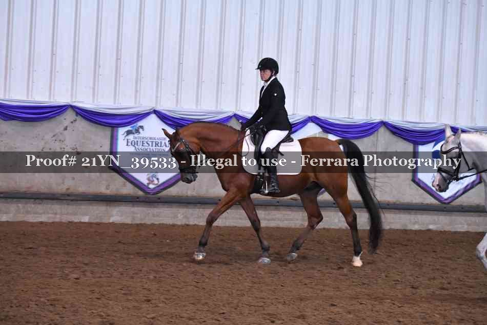 Proof 21YN_39533