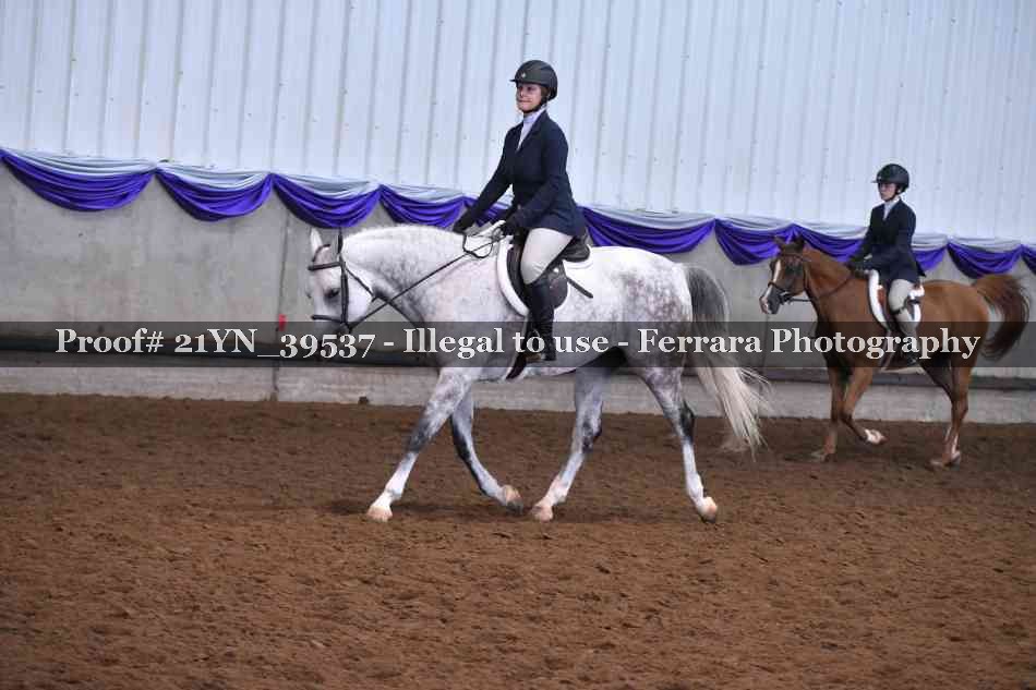 Proof 21YN_39537