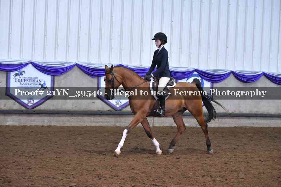 Proof 21YN_39546