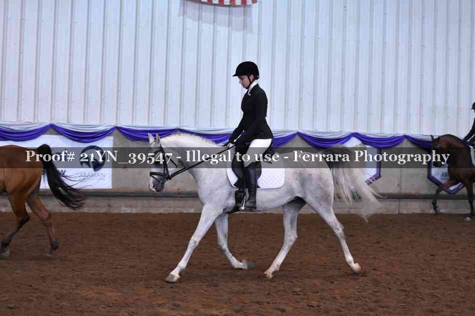 Proof 21YN_39547