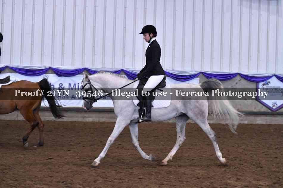 Proof 21YN_39548