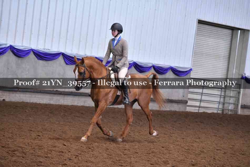Proof 21YN_39557