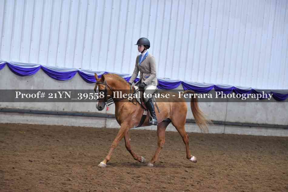 Proof 21YN_39558