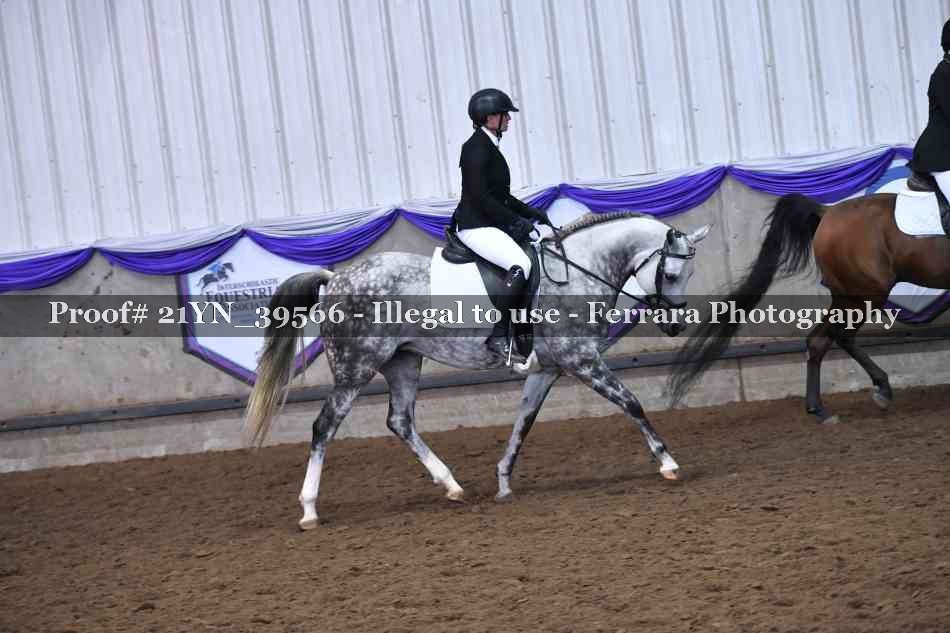 Proof 21YN_39566