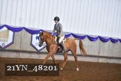 21YN_48201 proof
