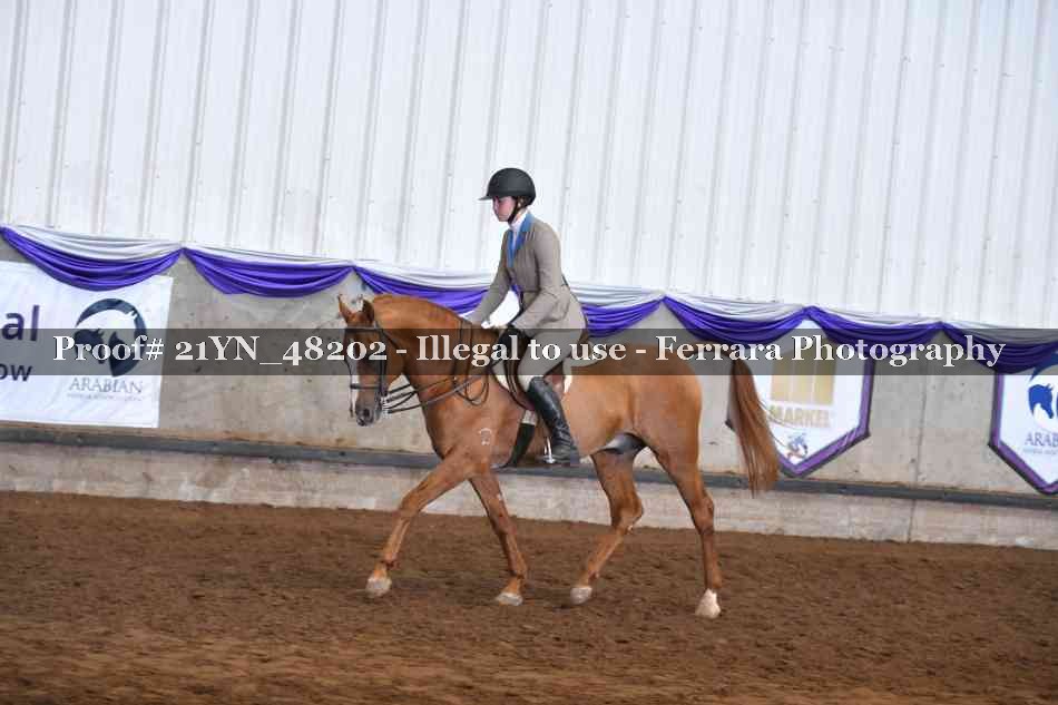 Proof 21YN_48202