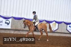 21YN_48202 proof