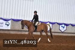 21YN_48203 proof