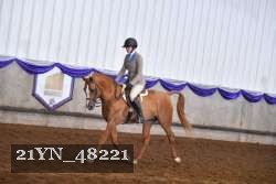 21YN_48221 proof