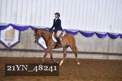 21YN_48241 proof