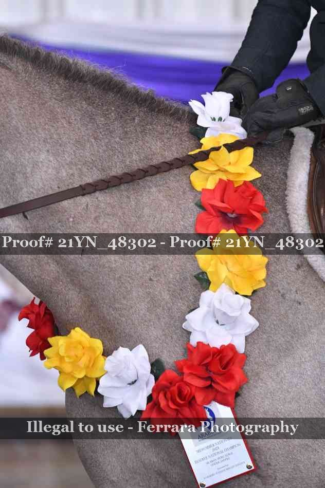 Proof 21YN_48302