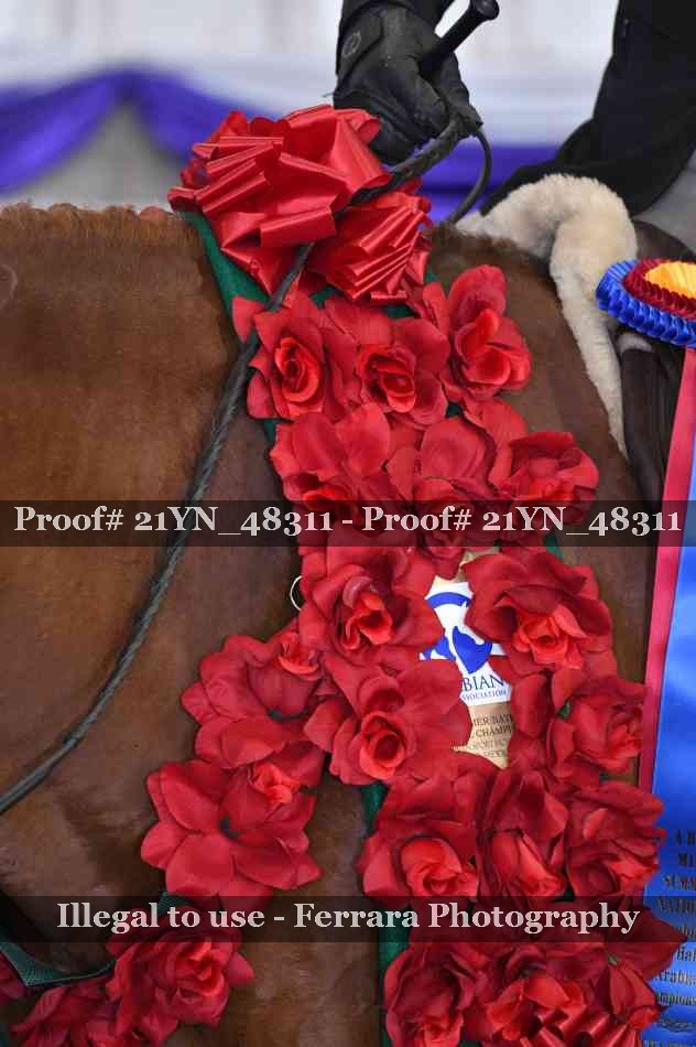 Proof 21YN_48311