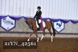21YN_42561 proof