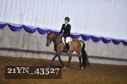 21YN_43527 proof