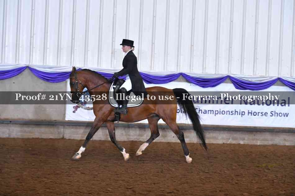 Proof 21YN_43528